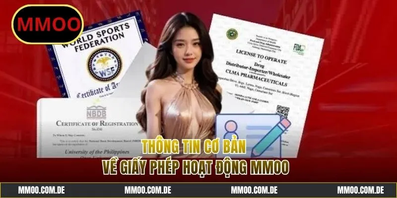 Cơ bản giới thiệu thông tin giấy phép hoạt động MMOO